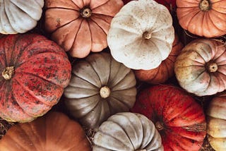 A Fan of Pumpkin Beers? This Article is Brewed Just for You.