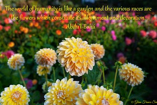 Humanity Is Like A Garden