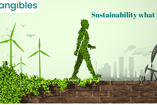 Sustainability — What is it?