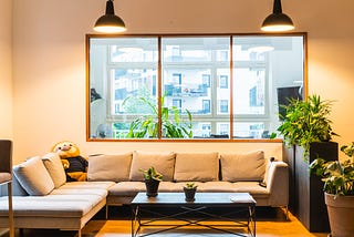 Raised plants in the Forto, Berlin office divide the communal space from walkways. Photo by Dustin Jaros.