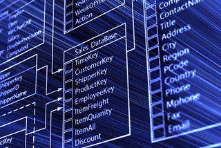 CRISP-DM Phase 2: Data Understanding
