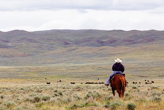 I’m a fourth-generation cattle rancher. I’m also a vegetarian.