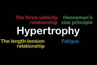 Why is longitudinal hypertrophy after strength training more limited than transverse hypertrophy?