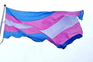 trans flag waves in a brisk breeze