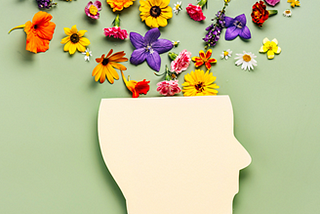 The Impact of Clean Clothes on Mental Well-being: