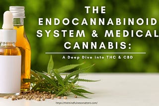 The Endocannabinoid System & Medical Cannabis: A Deep Dive into THC & CBD
