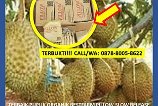 TERBUKTI, WA: 0878–8005–8622 Terpercaya Di Aceh Besar Pupuk Kelapa Sawit Jaya