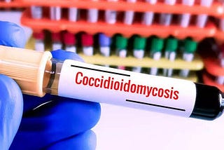 As summer approaches and temperatures rise, so does the concern for a deadly disease that has been…