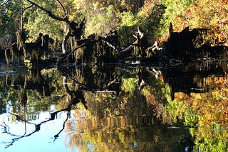 Cosumnes River Preserve