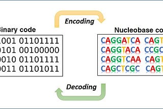 FROM PUNCH CARD TO DNA DATA STORAGE