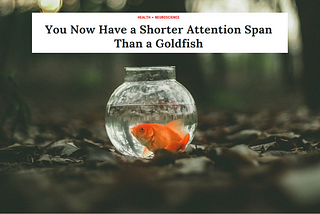 Shortening attention spans are a myth. Let’s build content that demands attention.