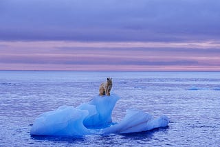 Climate Change : Mitigation vs Adaptation