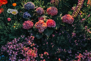 A highly saturated image of various types of flowers planted in greenery.