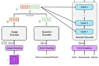 Fine-Tuning a Medical VQA Model