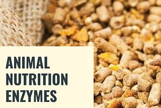 Top Animal Nutrition Enzymes Manufacturers| Advanced Enzymes