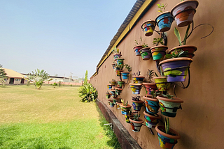 A case study: Social Therapeutic Horticulture project, Lagos Nigeria