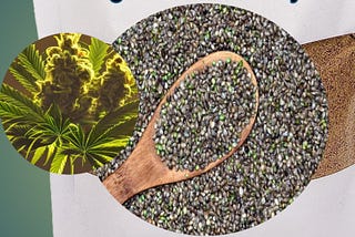 Hemp Seeds Protein: The Secret to Building Muscle Naturally