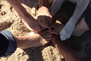 Photo of bare feet placed in a circle on the sand with dog’s paw also in the circle