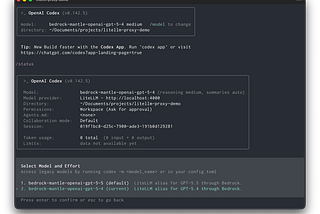 Using OpenAI Codex CLI with LiteLLM AI Gateway and Amazon Bedrock Mantle