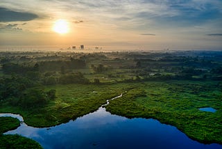 Then and Now: How the Earth’s Environment Has Changed in Just One Lifetime