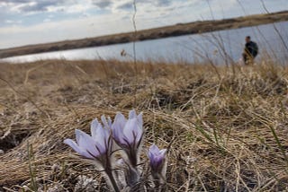 Overwintering