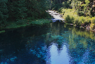 Tamolitch Pool, the place where the McKenzie River naturally reappears from its underground…