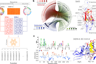 Oxford Researchers Breakthrough in Predicting Protein Function from Sequence Alone Using…