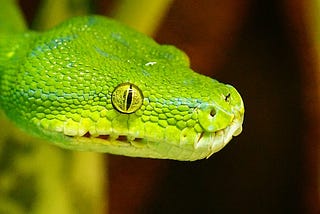 Exploration de Python : les compréhensions