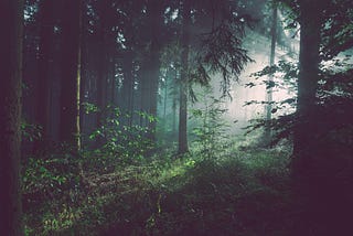 Surviving Being Lost in a Forest