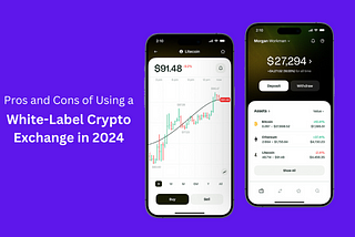 Pros and Cons of Using a White-Label Crypto Exchange in 2024