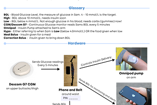 Managing a Type 1 Diabetic Preschooler with AndroidAPS