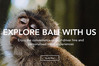 Local Driver Hire Bali