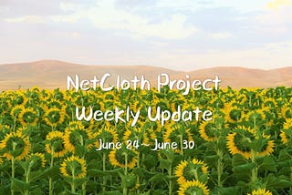 NetCloth Project Weekly Update (June 24~ June 30)