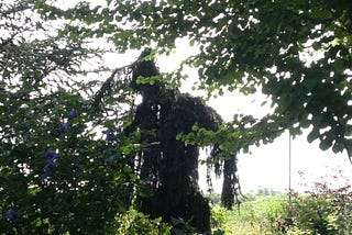 What Horticulture Can Teach Us About Gender Diversity