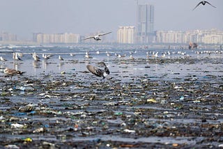 Littering the Pak Watan