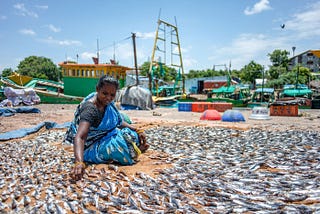 Challenging the Hypocrisy of Climate Narratives: From Kolam to the Real Stories of Sustainability
