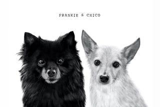 A black and white rendering of a black dog and a light colored dog side by side. “Frankie + Chico” is written at the top.
