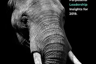 Purposeful Leadership Insights for 2019