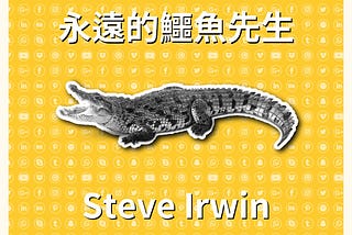 永遠的鱷魚先生-Steve Irwin