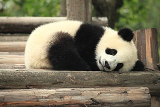 Le panda existentiel