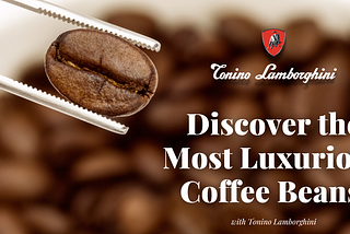 Discover the Most Luxurious Coffee Beans with Tonino Lamborghini