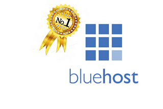 WHAT MAKES BLUEHOST STAND OUT?