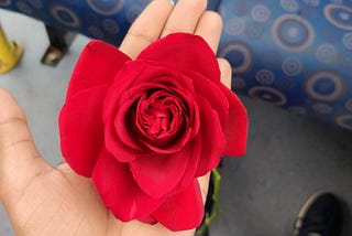 Dear Red Rose