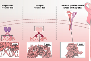 Differences in breast cancer through a biochemical lens