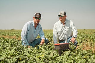 Using IoT sensor technology to increase yield one farm at a time