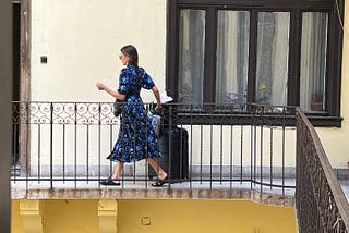 Faint Glimmers: Bedbugs and Besties