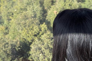 A Day in My Life (10 Nov 2025)