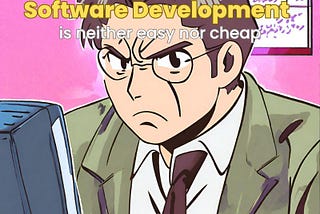 Software Development is not cheap