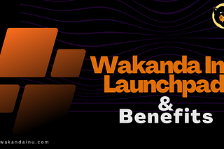 Introducing the Wakanda Inu Launchpad & Its Benefits For Blockchain Projects