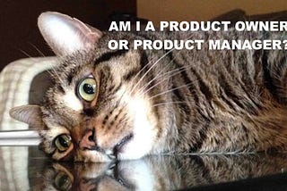 Product Manager vs Product Owner
